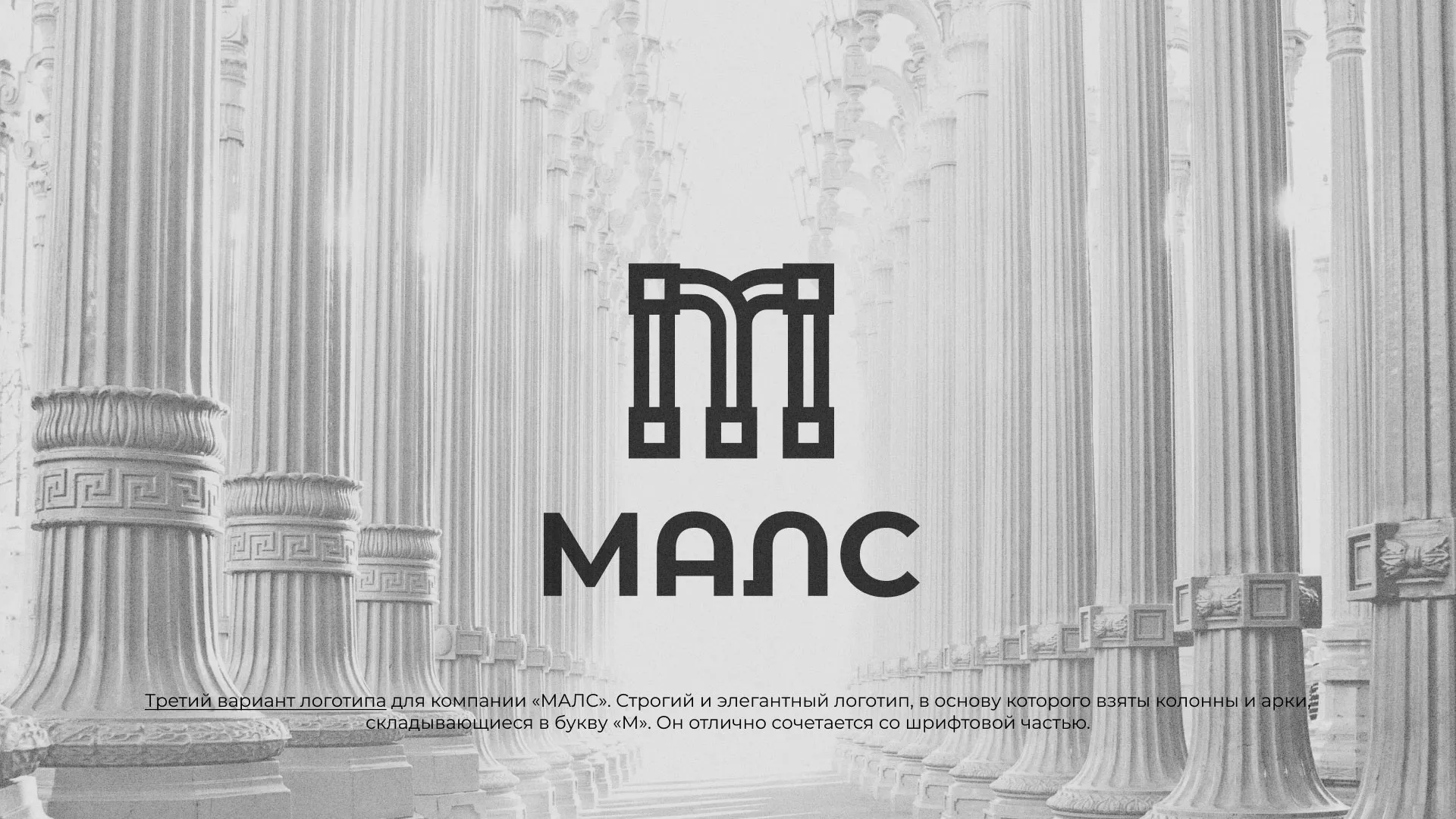 Разработка логотипа компании «МАЛС» в Чистополе