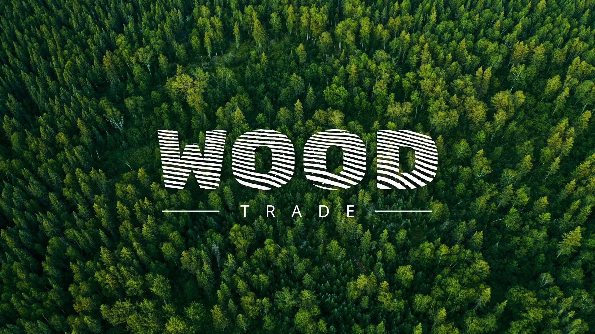 Разработка интернет-магазина компании «Wood Trade» в Чистополе